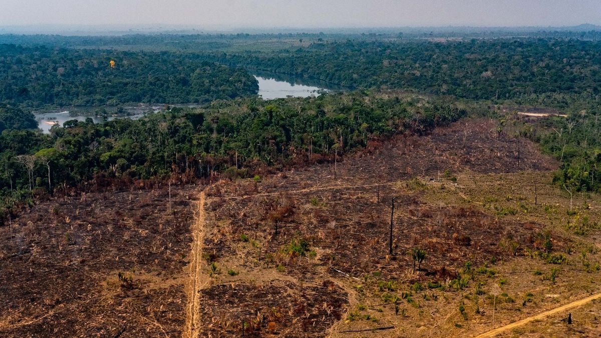 Nejpustošivější květen v historii. Odlesňování v brazilské Amazonii vrcholí